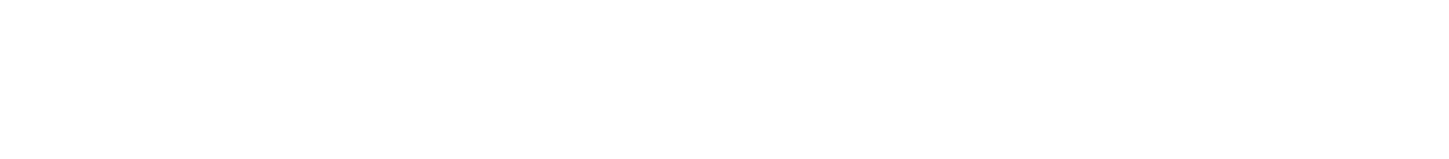 Campaign Partner — Domain Portal